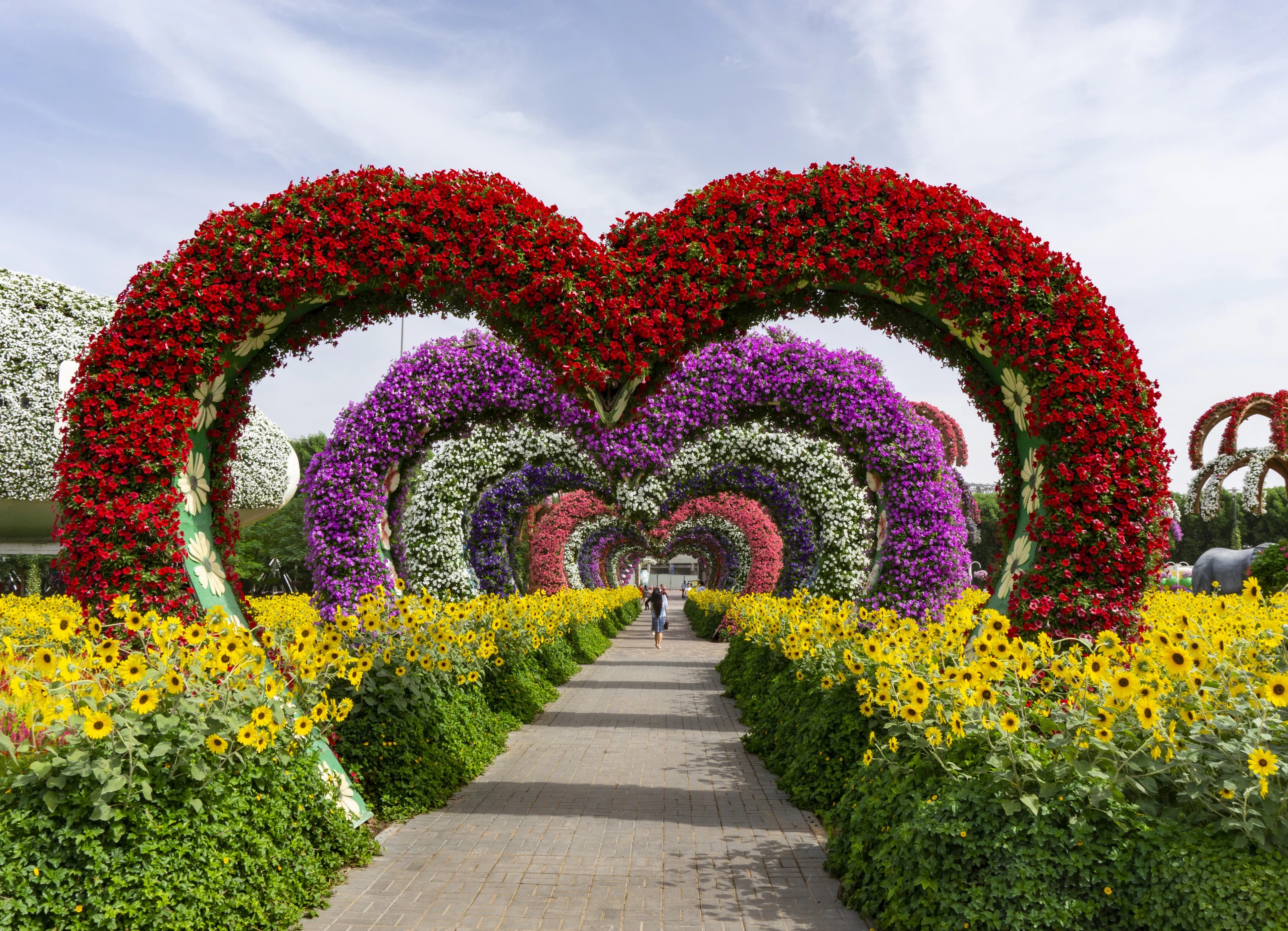 Dubai Miracle Garden Free Birthday Entry