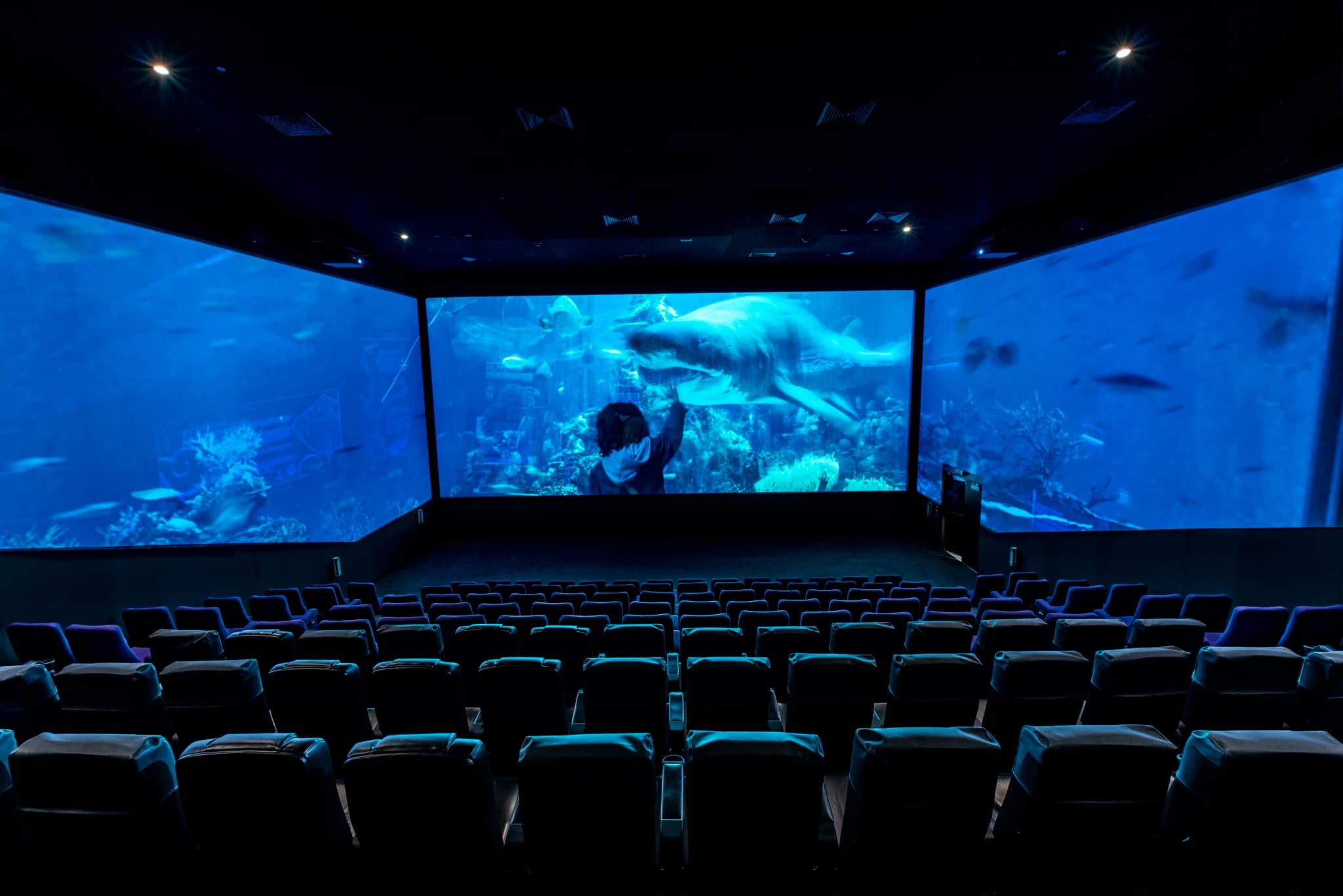 Free Movie Ticket at Reel Cinemas